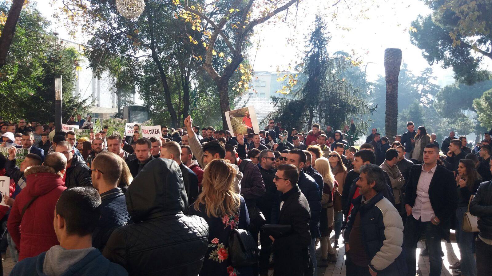 FOTO/Dita e Rinisë, të rinjtë e PD protesta në institucionet kryesore