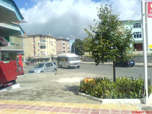 Pukë, grabitet dhe lidhet në pemë punonjësi i një pike bastesh