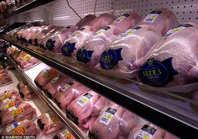 ALARM/ Në supermarkete 2/3 pulave që shiten, janë të infektuara me virusin E-coli