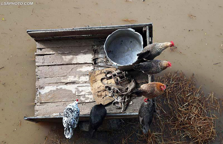 FOTO LAJM/ “Pulat e lagura” nga përmbytjet në Çermë-Shkumbin