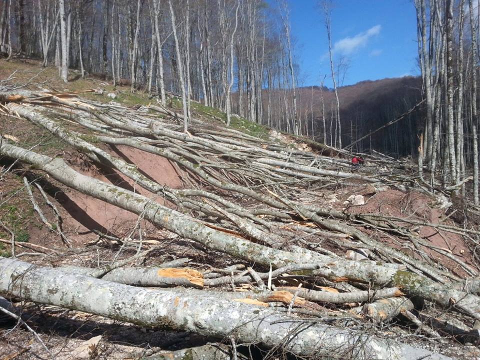 Qytetari dixhital: U shuan pyjet e Librazhdit nga miqtë e Ballës!