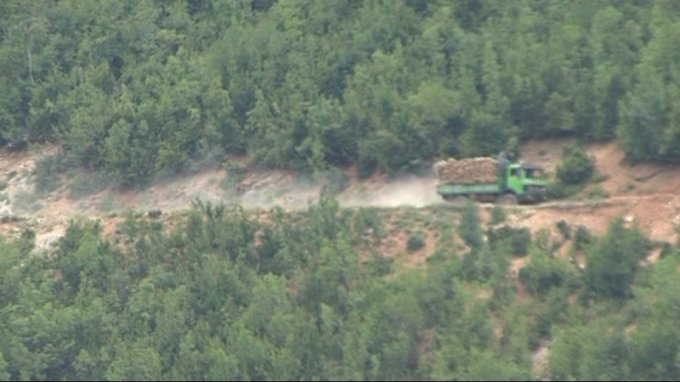 Kërcënim nga kontrabandistët e druve në pyjet e Librazhdit, gazetarët dalin nga rreziku