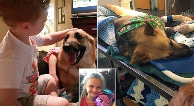 FOTO/ Qeni hero, shpëton vajzën nga gjarpri