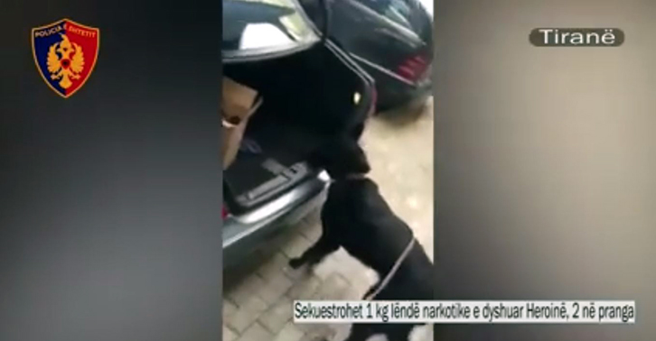 VIDEO/ Qeni zbulon heroinën e fshehur në kutitë e bojërave