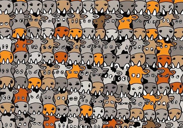 TEST/ E gjeni dot ku fshihet qeni…?!