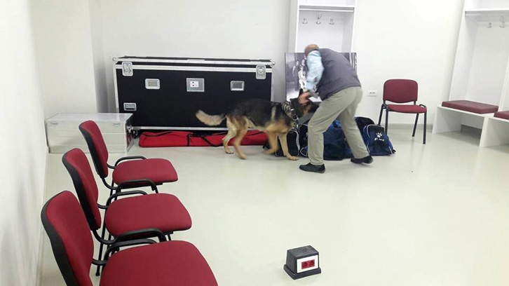 Shkodër, Policia publikon masat e ndeshjes Shqipëri – Spanjë, rrugët dhe sheshet që bllokohen