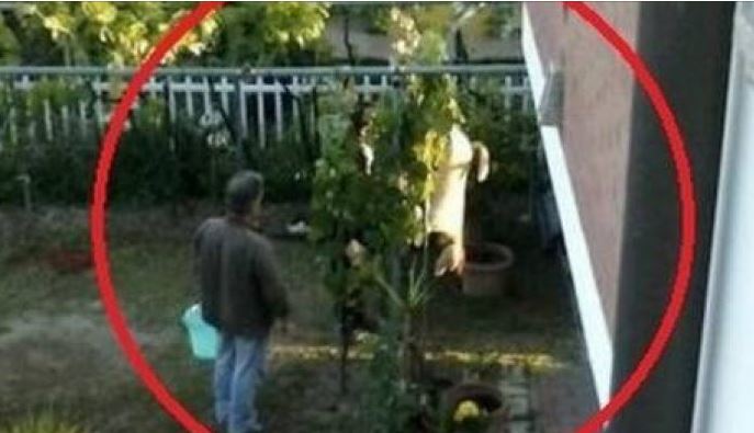 Çifti shqiptar ther delen dhe arrestohen!