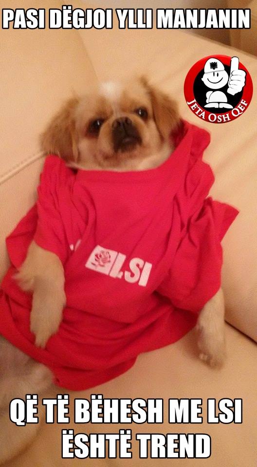 FOTO HUMOR/ Që të bëhesh me LSI-në, është trend…!