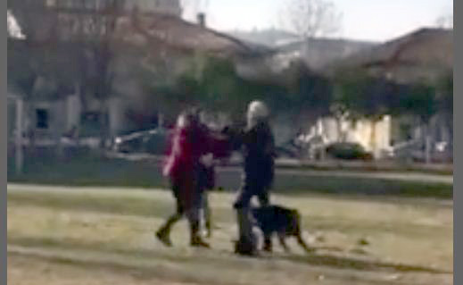 VIDEO SKANDAL +18/ Tiranë, vajza dhunon të moshuarin: Të q* robt, shk****t, të kapa të groposa aty