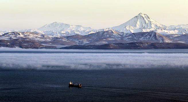 Një tjetër rajon i shkretë i botës drejt popullimit, 48 000 kërkesat e para