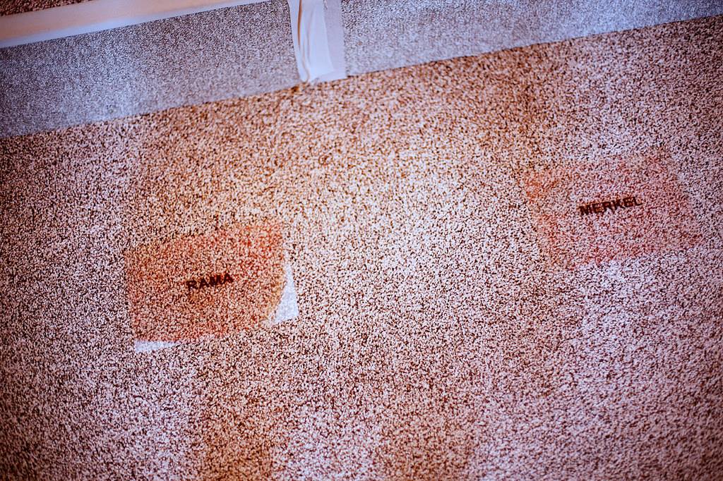 SHËNIM/Edi Rama lider botëror  dhe pse “..nuk duam të bëhemi si Zvicra “