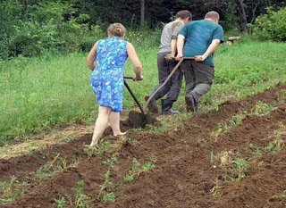 FOTO LAJM/ Rilindje…! Apo ishim më mirë kur ishim më keq!