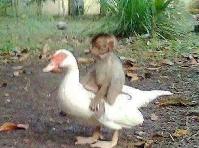 FOTO LAJM/ Shokë deri në vdekje…