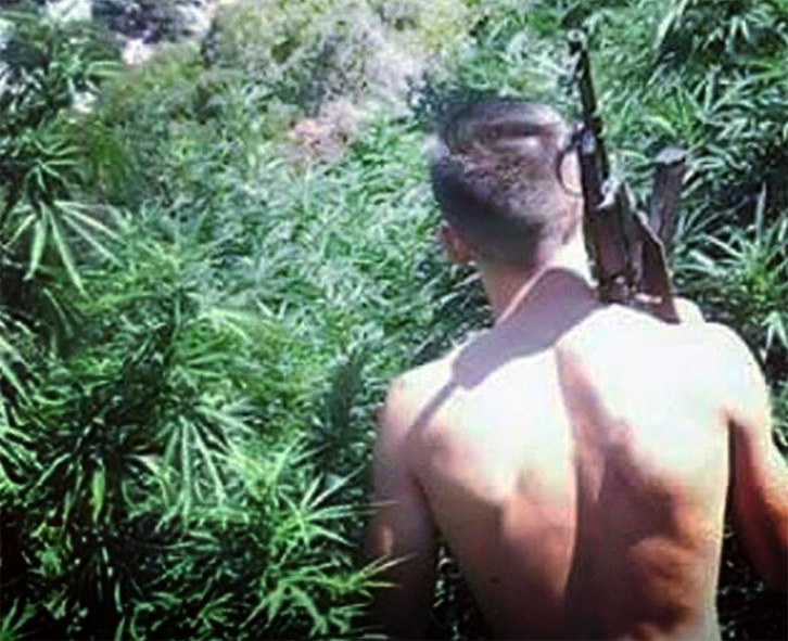 RRËFIMI/ Kultivuesi i hashashit “i qan hallin e madh” gazetarit