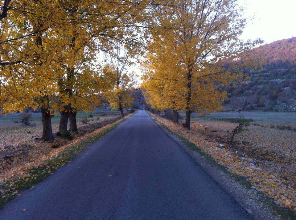 Një plep, shkaku i egzekutimit të Ismet Xhanit