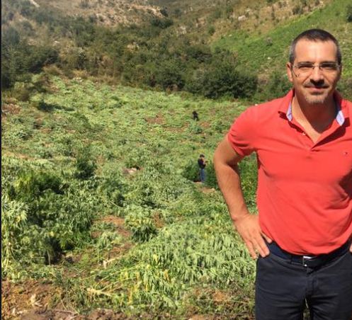 SHISH, raport sekret për kanabisin; të dhëna për parcelat dhe pronarët