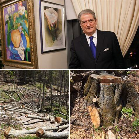 FOTO LAJM/ Ironia e Sali Berishës në Ditën Botërore të Mjedisit