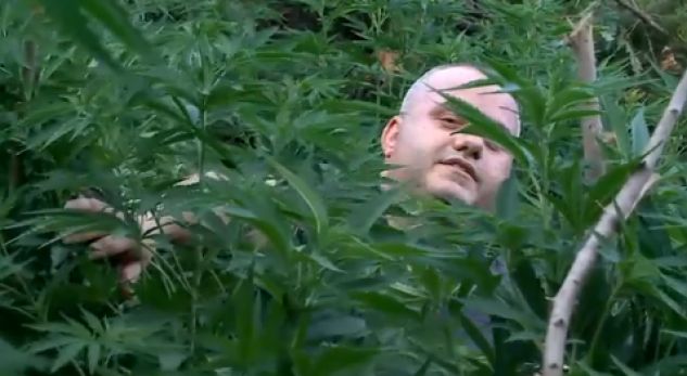 VIDEO/ Në zemës të xhunglës… shikoni ç’bëjnë “djemtë”