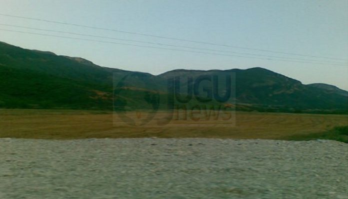 Trafik marijuane nga ajri në Cepo