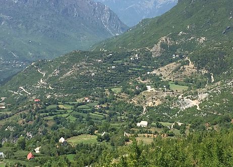 DETAJE/ Vrasja në Dukagjin, vëllai plumba mbi vëllain