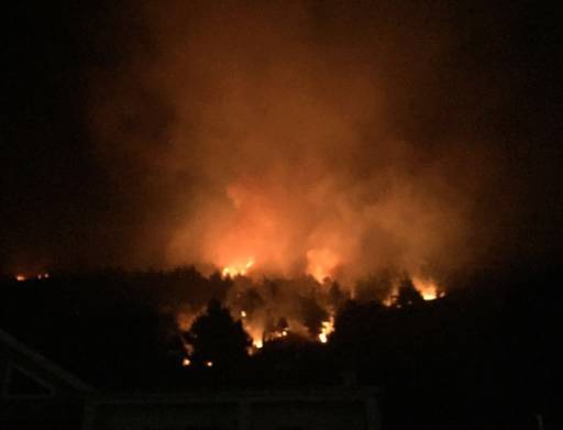 Arrestohet bariu që ndezi flakë Shëngjinin