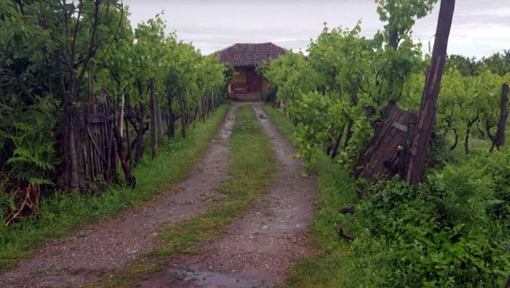 DETAJE/ Shkodër, krimi në familje, burri kishte ndarë dy gra të tjera