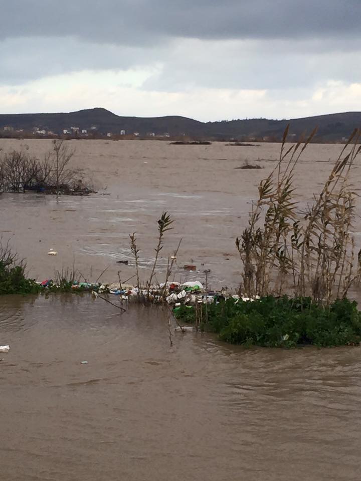 Qytetari dixhital: Firma e drejtueses së bashkisë shkatërroi shtratin e Shkumbinit