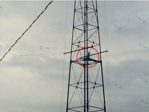 Shijak, dështojnë negociatat vret veten vrasësi i bashkëshortes dhe vjehrrit