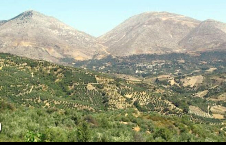 FOTO LAJM/ Mirëmëngjesi nga plantacionet me kanabis në Smokthinë