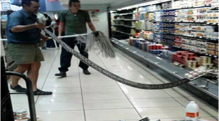 FOTO LAJM/ Gjendet në frigoriferin e supermarketit një gjarpër 4 metër i gjatë
