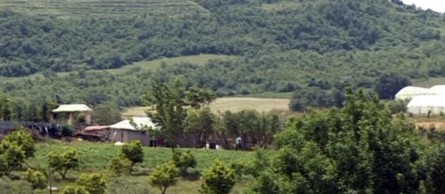 Divjakë, plumba mbi komshinjtë, 2 të plagosur