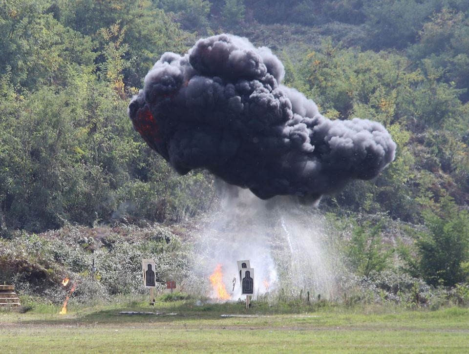 YLLI DYLGJERI/Si u përfshi Ministria e Mbrojtjes në luftën kundër drogës në vitin 2002