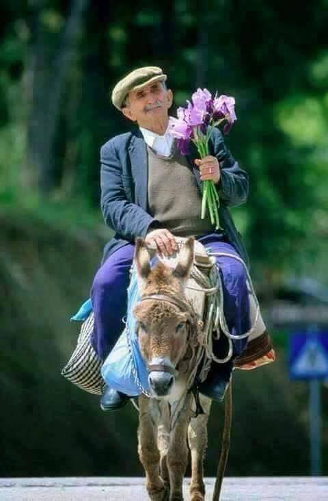 FOTO HUMOR/ Gëzuar Shën Valentinin…!