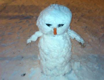 FOTO GALERI/ Bora që ra sot në Tiranë