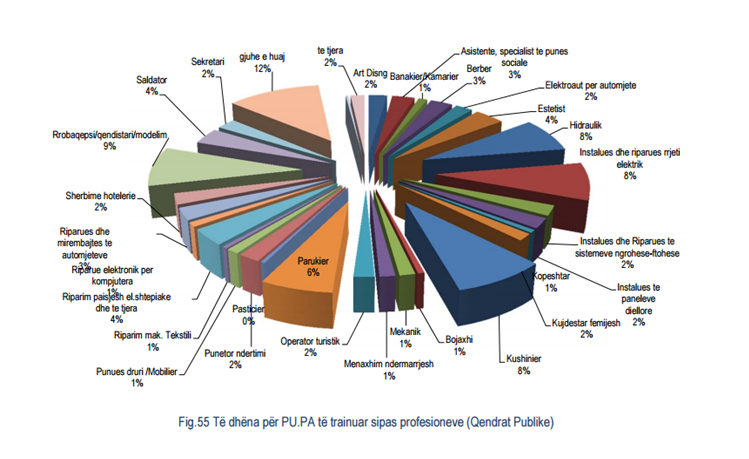 Shqiptarët “braktisin” anglishten dhe italishten, ja çfarë gjuhe dhe profesionesh po mësojnë
