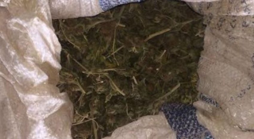 Fier, ndalohen 43-vjeçari dhe bashkëshortja e tij, kultivonin drogë në shtëpi