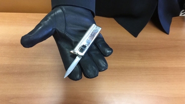 FOTO/ Shqiptari i turret me thikë-çakmak italianit që shëtiste me qenin në park