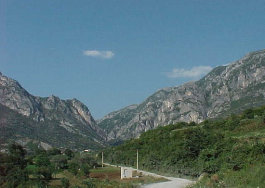 Rrëzohet duke kullotur bagëtitë, humbet jetën një 22-vjeçar në Tiranë