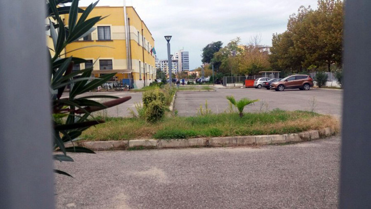 FOTO/ Bashkia e Tiranës u heq ditën e punës 200 punonjësve: Ikni vrisni veten, parkoni ku të doni!