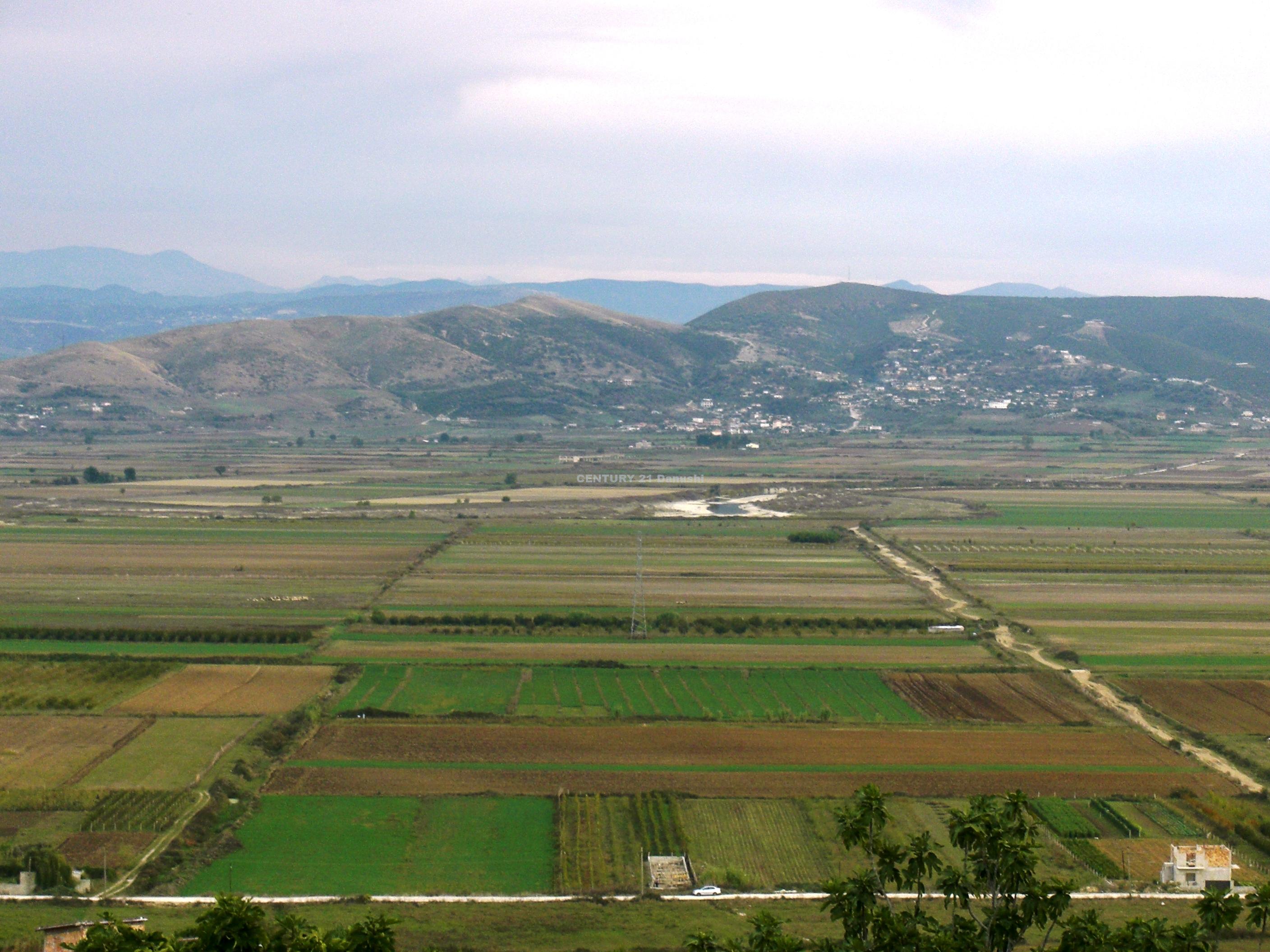 Tiranë/Rritet taksa e kalimit të pronësisë për tokat dhe shtëpitë