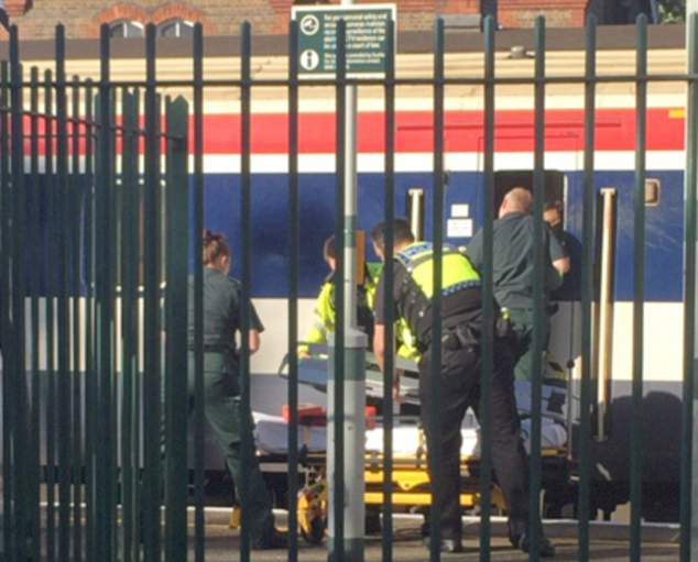 Londër, treni i pret kokën pasagjerit, dëshmitari: Pamë kokën ti fluturonte jashtë