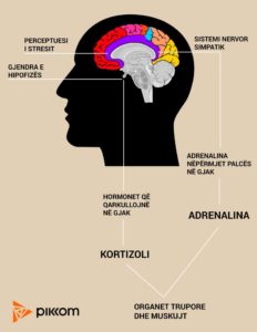 Truri juaj mund t’i fshijë gjërat qe nuk doni t’i kujtoni , por ka një sekret