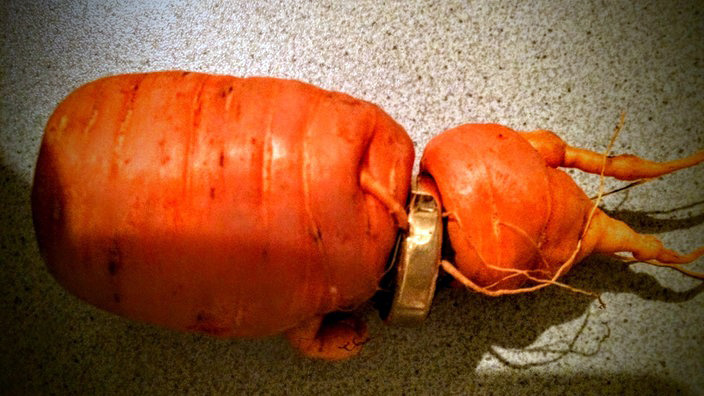 FOTO LAJM/ Gjen unazën e martesës në karotë, humbi tre vjet më parë…