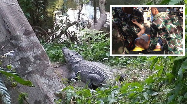 FOTO GALERI/ Krokodilit “nuk i pëlqen” selfia, kafshon gruan