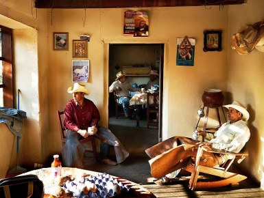 Meksikë, jeta tradicionale e “vaqueros”