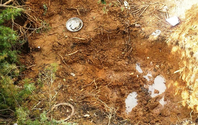 EMRI/Gjendet vrasësi i biznesmenit Vasil Biba