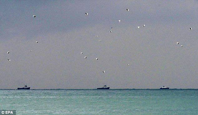 VIDEO/ Avioni rus, ja dyshimet pse mund të ketë rënë