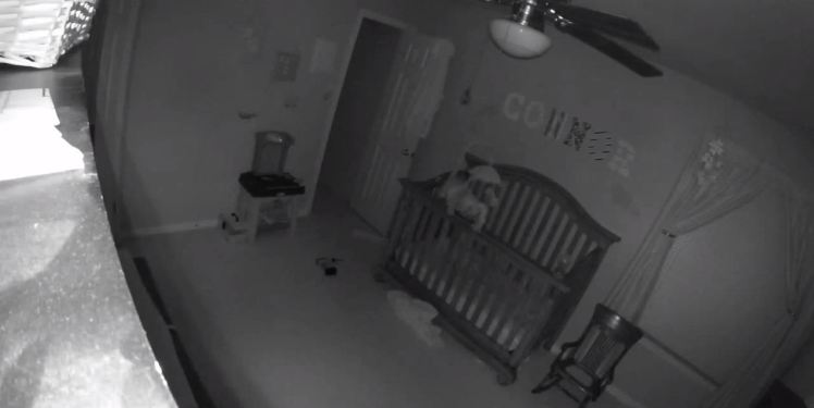 TMERRI (+18)/Fëmija ka lidhje me djallin dhe shihet në video