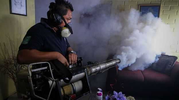 ALARMI/Virusi “zika” vjen në breg të Adriatikut