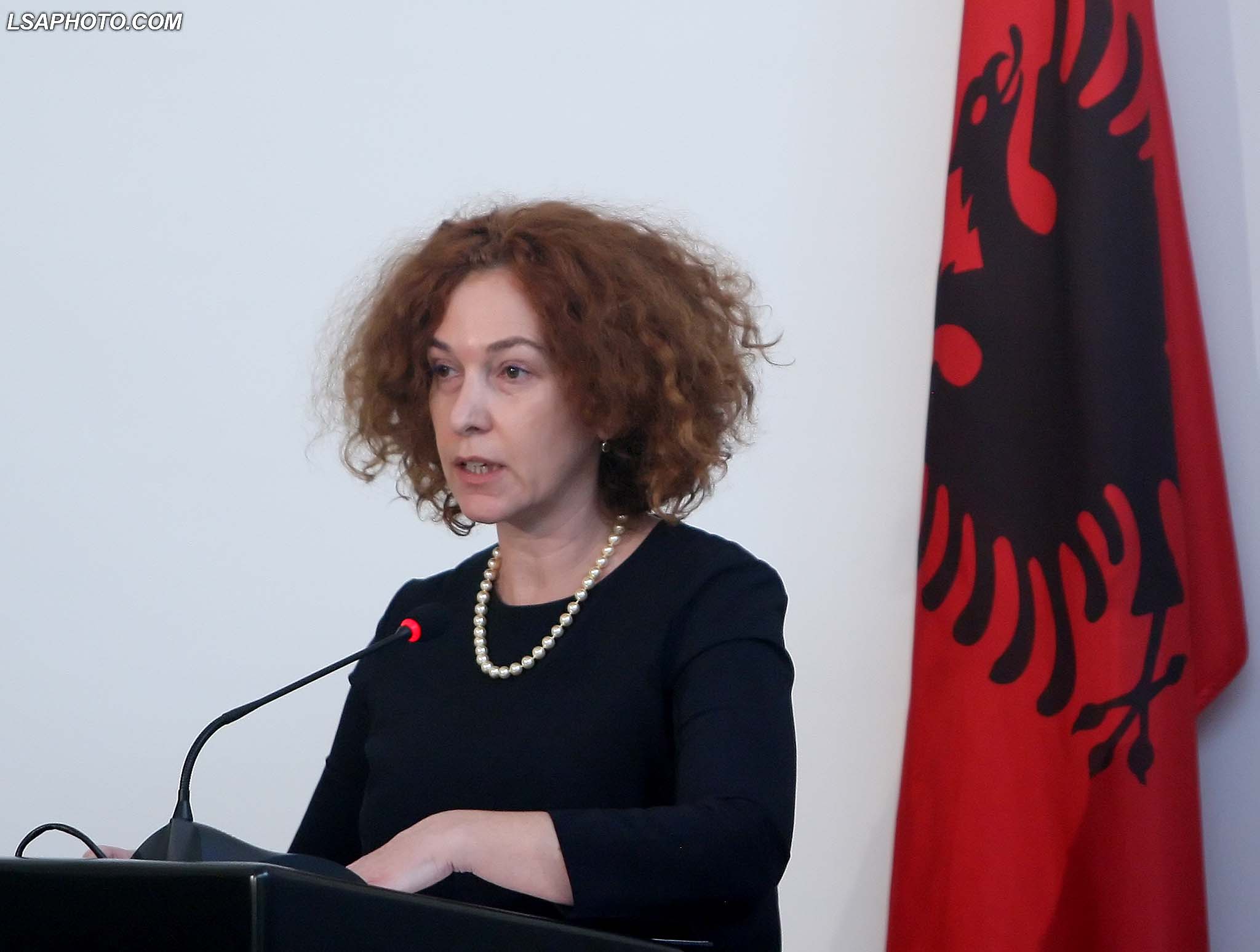 Vlahutin: Krimi nuk duhet të jetë më i fortë se institucionet